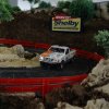 43º Rally Shelby ( janeiro )